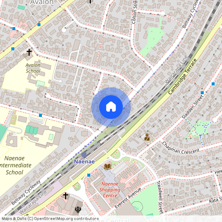 217 Oxford Terrace, Avalon, Lower Hutt City