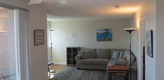 FURNISHED 1 Bdrm CONDO with a Spectacular View - Photo 2