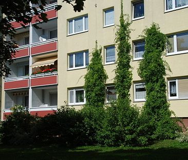 2-Raum-Wohnung mit Blick ins Grüne - Photo 1