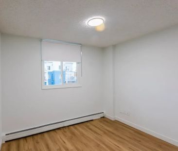1 Bedroom - Photo 4