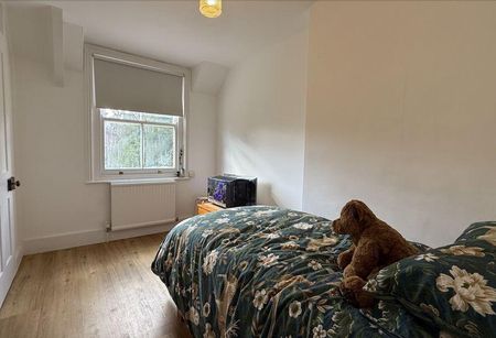 3 bedroom semi-detached house to rent - Photo 5