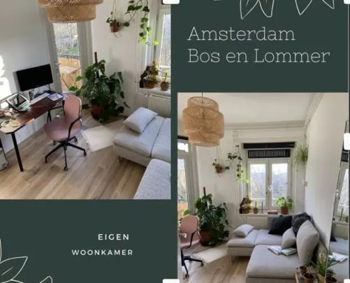Chambre Meublée Erik de Roodestraat, Amsterdam - À Louer - Foto 1