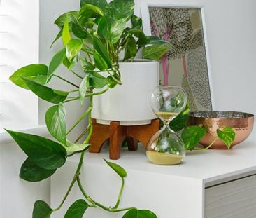 Pioneer Way, Stafford, Staffordshire, ST17 - Photo 1