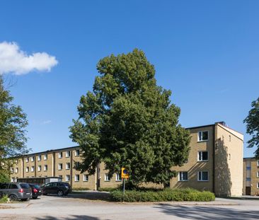 Ingenjörsgatan, Olofström - Photo 1