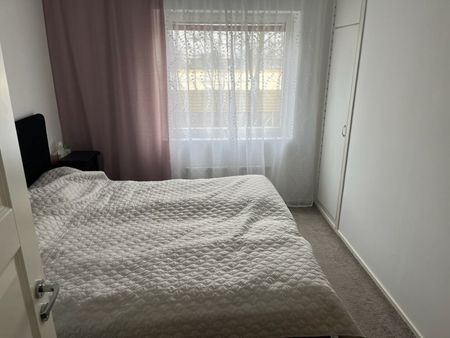 Oxens gata, Brandbergen - Foto 3