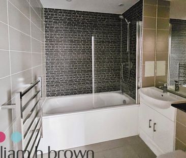 Burgess Springs - Photo 4
