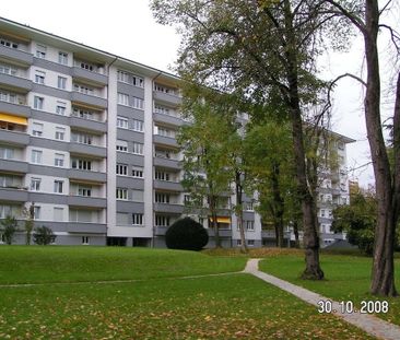 2 Zimmer, 65 m², 6. Stock - Foto 5