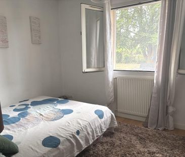 Location Maison 5 pièces 121m² COLLONGES AU MONT D OR 69660 - Photo 5