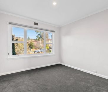 1950's cool in Newstead! - Photo 4