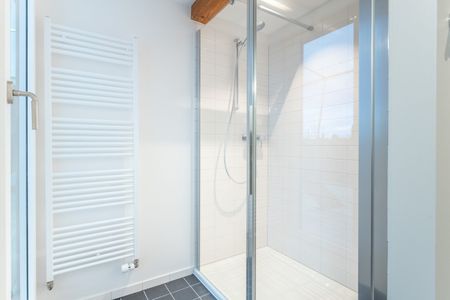 Einmalige Gelegenheit - wunderschöne Loftwohnung beim Zolli - Foto 4