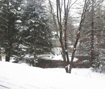 5 1/2 foyer (wifi inclus) terrain bordé d'un étang - Photo 1