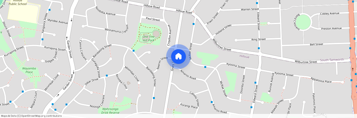 29 Grant St, NSW 2340, Hillvue