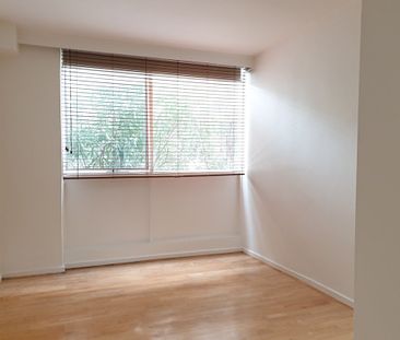 Light, Bright and Spacious Two Bedroom Apartment - Photo 2