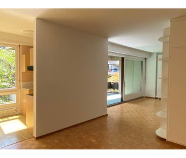 Lugano Loreto - Appartamento nel parco - Foto 3