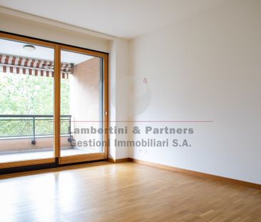 4 ½ Zimmer-Wohnung in Lugano mieten - Photo 1
