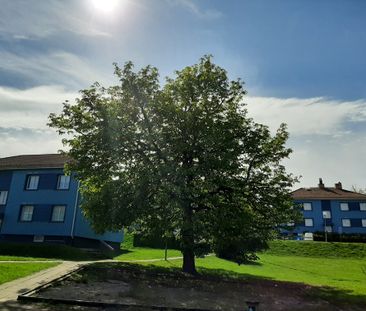 Ode Baltensgata, Kristinehamn - Photo 5