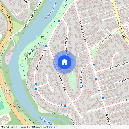 33 Galway Avenue, Hamilton East, Hamilton City