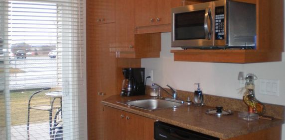 4.5 SUR 2ÉTAGE/ TRÈS BEAU / ST-RÉMI / 1475 / JUILLET - Photo 2