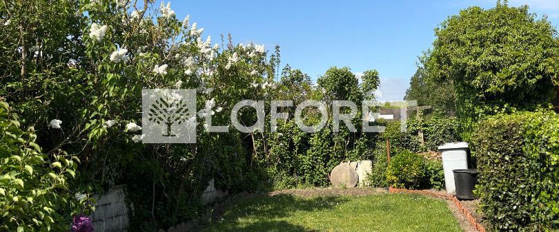 House - Photo 1