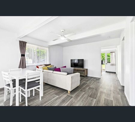 147 Torquay Road, Scarness, Qld 4655 - Photo 4