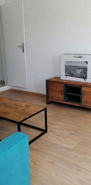 Location Appartement 1 pièce Meublé 44m² ST PIERRE DU MONT 40280 - Photo 1