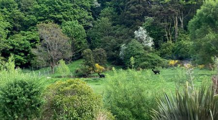 Brand New Two Bedroom - Photo 2