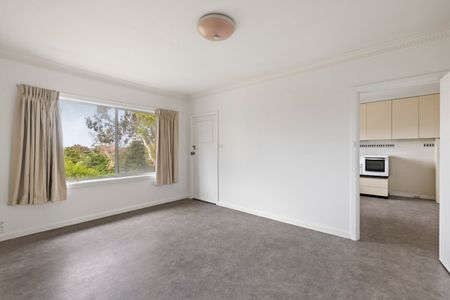 29 Charteris Drive, Ivanhoe East - Photo 4