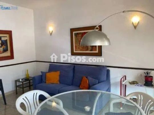 Piso en alquiler en Tejina-Valle de Guerra-Punta del Hidalgo-Bajamar - Foto 1
