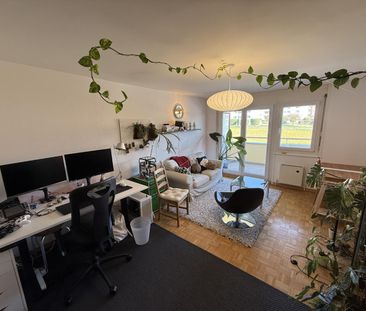 2.5 Zimmer, 55 m², 1. Stock - Foto 1