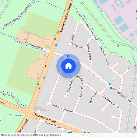 3 Sycamore Crescent, Quakers Hill NSW 2763