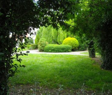 Location appartement 1 pièce - 32m² à Toulouse (31100) - Photo 1