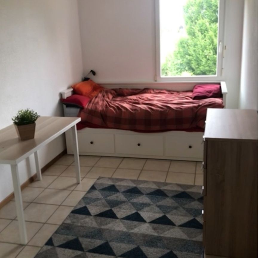 12 m² - Photo 2