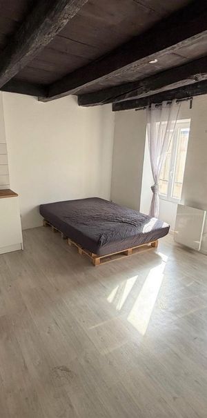 Location Appartement 1 pièce 18m² DIJON 21000 - Photo 1
