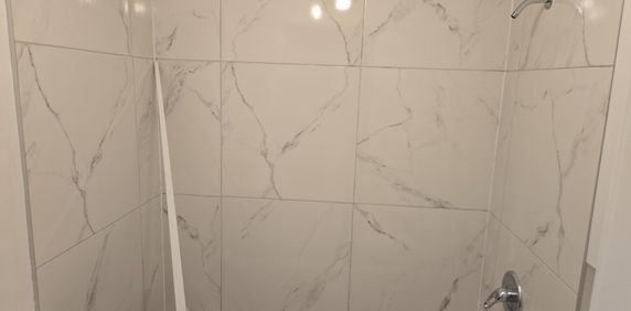 Grand Condo 4 1/2 Plateau Mont-Royal - Photo 2