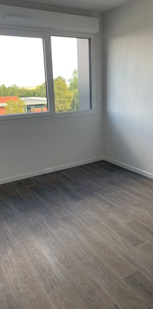 Location Appartement 1 pièce 19m² AUZEVILLE TOLOSANE 31320 - Photo 1