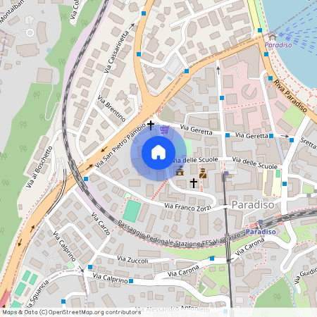 Via Franco Zorzi 10, 6900 Paradiso