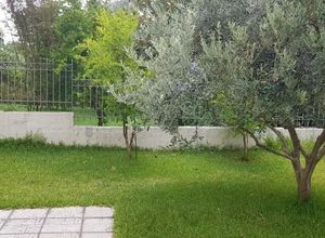 Μονοκατοικία για ενοικίαση - Άγιος Στέφανος - Photo 5