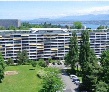 Magnifique appartement de 5 pièces - Foto 1