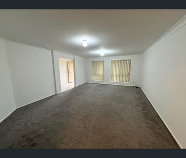 11 Rene Court, Wynnum West, Qld 4178 - Photo 1