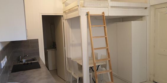 Location Appartement 1 pièce 18m² GRENOBLE 38000 - Photo 3