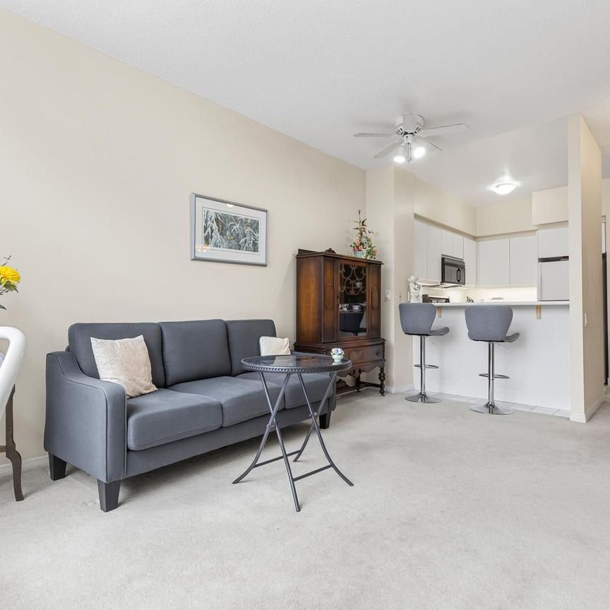 For Lease - 1800 The Collegeway N/A Unit# 107, Mississauga, Ontario - Photo 1
