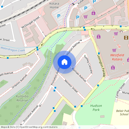 35 Princeton Avenue, NSW 2289, Adamstown Heights