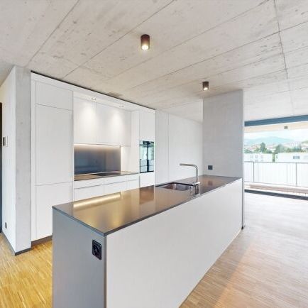 4VIERTEL - Vivre à proximité de la ville. Avec vue sur le mont Pilate et le bruit de la rivière. - Foto 2