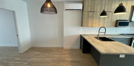 5 1/2 - Montréal (Villeray) - 2 500 $/mois - Photo 2