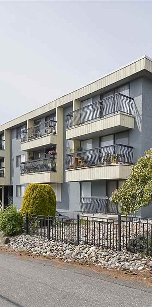 Newly Renovated Second Floor Apartment in White Rock - Photo 1