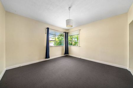 When You Need More Room! - Photo 4