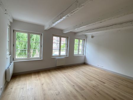 Appartement - 2 pièces - 55 m² - Strasbourg - Photo 4