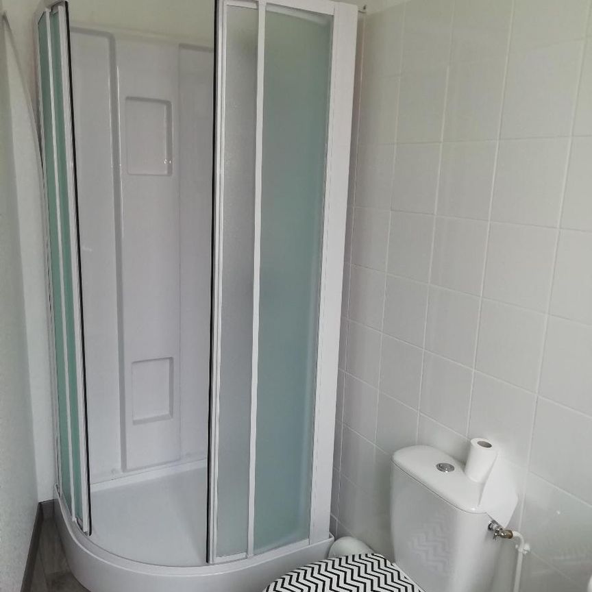 Location Appartement 1 pièce 20m² LE BLANC 36300 - Photo 1