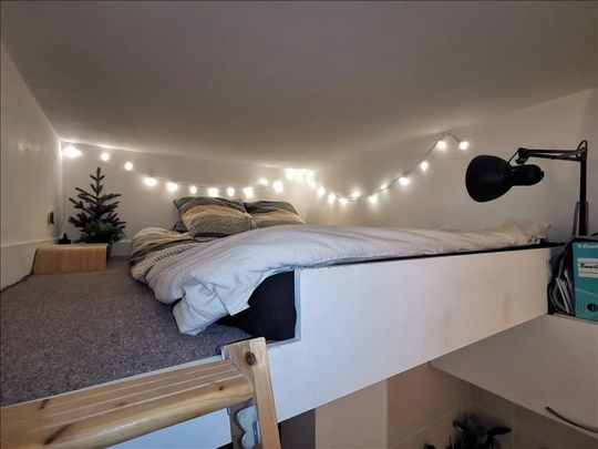 1 pièce - Meublé - 11,1 m² - RDC - Colocation non autorisée - Photo 1