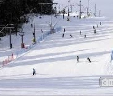 For Lease - 4 Yeomans Road Unit# Basement, Toronto, Ontario - Photo 4